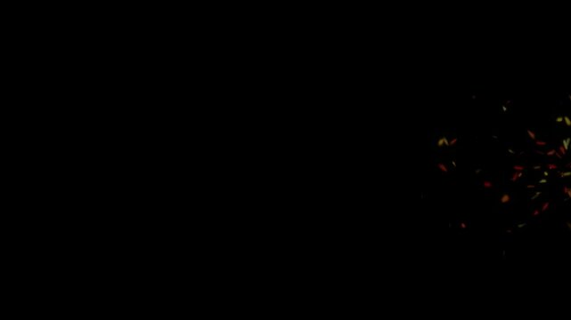 A motivational video with the words 'Never Quit' on a black background