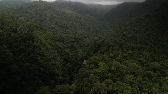 Aerial of jungle rainforest highland in Bajos del toro tilt down on river Rio Toro with misty skies