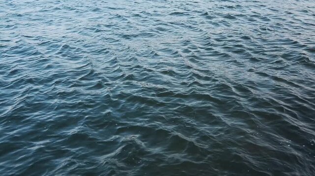 港内に吹く強風に波立つ海面