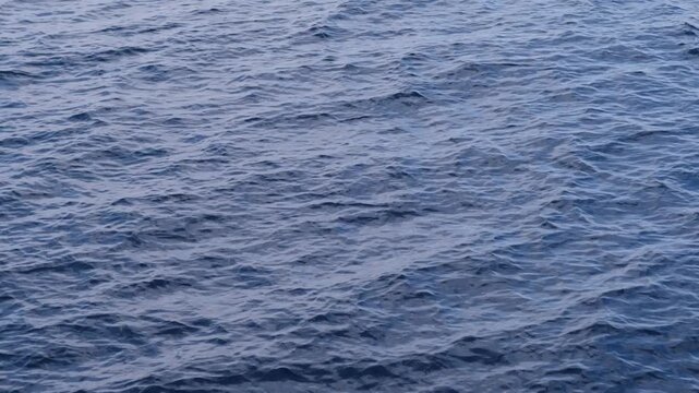 Ocean waves create a serene pattern on the water's surface, reflecting light and enhancing the peaceful atmosphere of the coastal scene