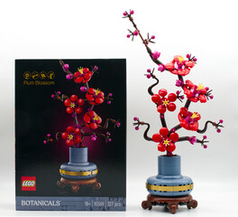 Fototapeta premium Bologna - Italy - March 3, 2026: LEGO Botanicals Plum Blossom set 10369 and box packaging isolated on white background.