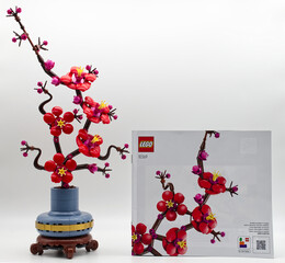 Naklejka premium Bologna - Italy - March 3, 2026: LEGO Botanicals Plum Blossom set 10369 and building instruction manual isolated on white background.