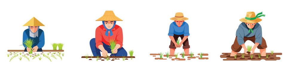 Rice farmers planting seedlings in paddy fields