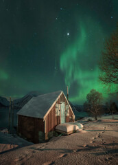 Fototapete bei efototapeten.de bestellen   