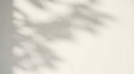 Obraz premium Soft, blurred shadow patterns from foliage fall gently across a bright, neutral textured wall surface.