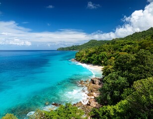 tropical island coastline with lush forest and turquoise water