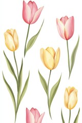 チューリップの水彩画
