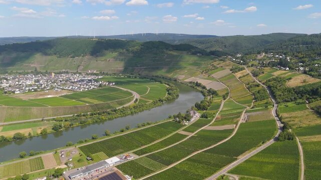 Trittenheim, Moselle Valley with loop of Mosel river, aerial view, riesling wine growing on vine, vineyard landscape and agriculture in Germany