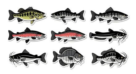 Collection of Various Fish Species Illustrations.