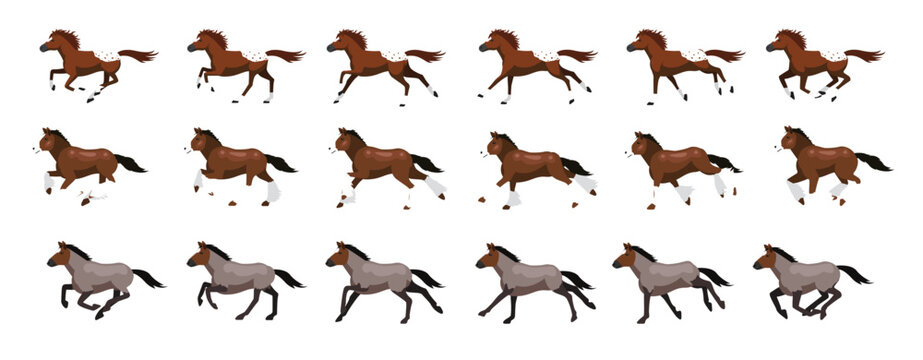 Appaloosa Clydesdale Roan Horse Animation Sequence Running Cartoon Vector Set