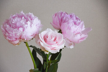 Fototapeta premium ピンクの芍薬とばら