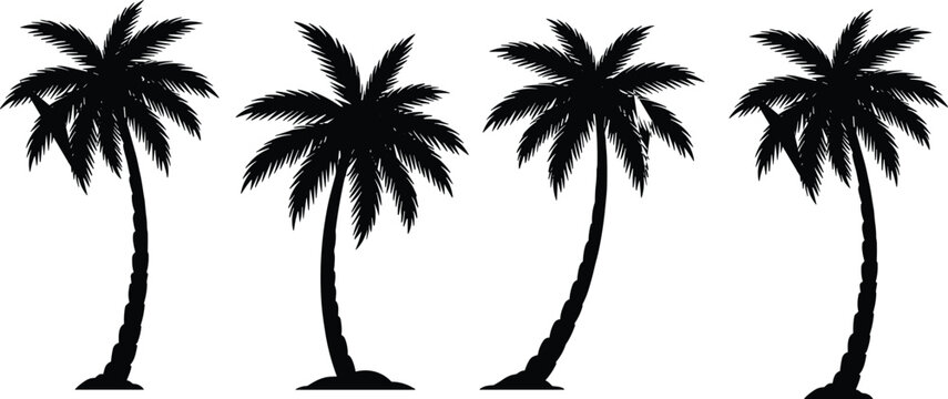Set of tropical palm tree silhouettes isolated on light background, detailed black vector illustration collection for summer, beach landscape, travel, and exotic nature design.