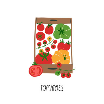 Cute flat vector illustration of wooden crate filled with fresh tomatoes. Organic farm harvest concept with cherry tomatoes and vegetables, farmers market theme, healthy food and local produce design.