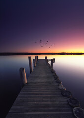 Fototapeta premium birds over the wooden pier in summer sunset at the beach