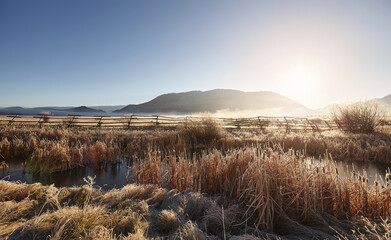 The landscape of Grand Teton National Park at a frosty sunrise, USA.