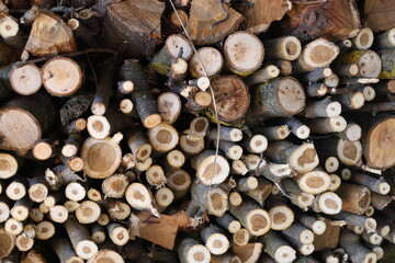 Firewood arranged in a stack, countryside area