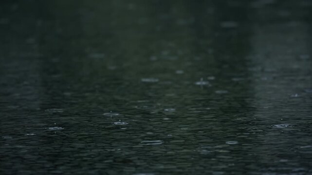 Slow motion of rain with splashes on wet asphalt surface.