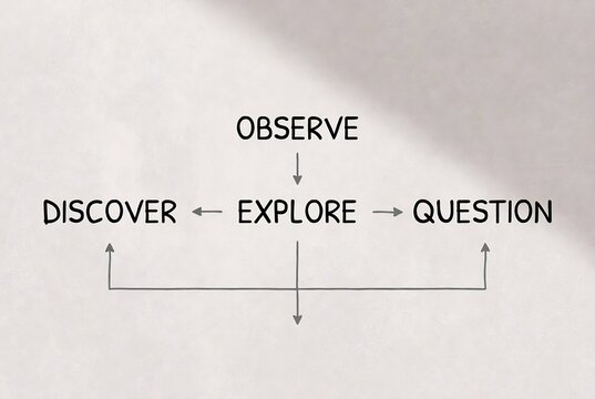 A visual representation of the observation, discovery, exploration, and questioning process.