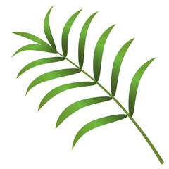 Illustration of fresh green parlor palm leaves 