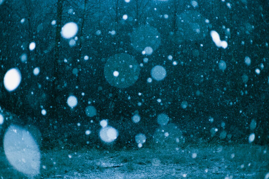 Snow flakes fall on stormy day with dark forest