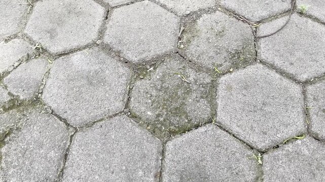 Close up of hexagonal paving blocks with moss and grass in the joints