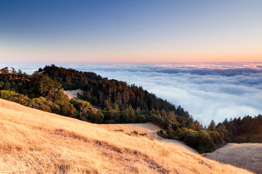 Afternoon fog rolling into marin county headlands
