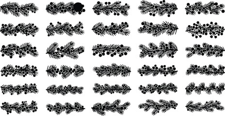 Black silhouettes of pine branches with berries on white background © Mofajjol