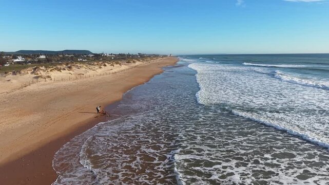 Paseo con el perro por la playa