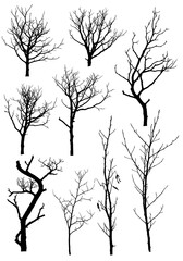 Obraz premium Winter's Silent Chorus