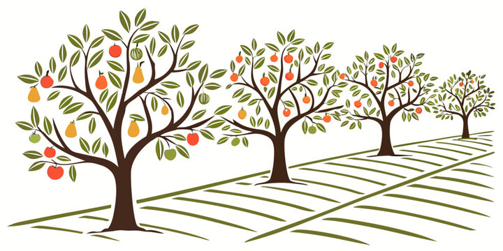 An illustration of an apple orchard with trees and rows Vector