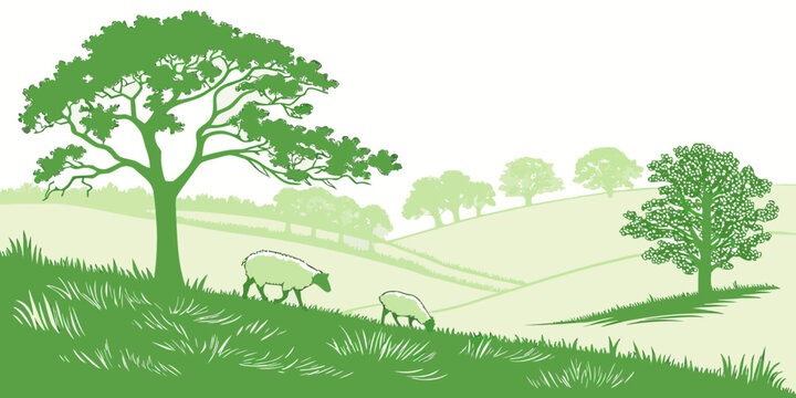 Two sheep grazing in a green landscape Vector