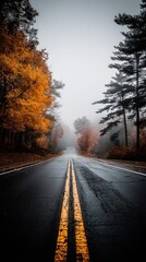 Fototapeta premium Foggy autumn road with vibrant orange trees and double yellow lines leading into distance