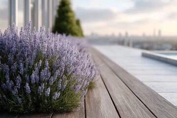 Fototapeta premium Beautiful lavender flowers on a wooden rooftop terrace with city skyline view, showcasing a peaceful and relaxing urban garden in the evening sunset light.