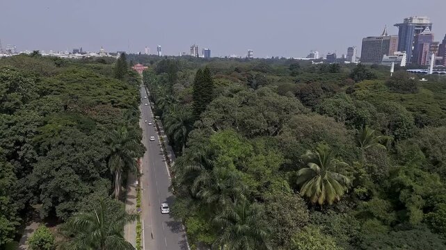 Aerial view of long road amid large trees leading to memorial hall in Cubbon Park
