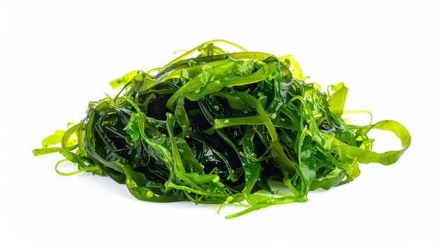 Fresh green seaweed pile on white background for healthy lifestyle and wellness concept.