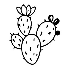 Obraz premium Doodle Prickly Pear Cactus
