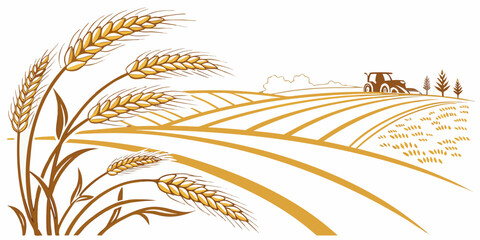 Golden wheat field with a small bird perched on a stalk under a clear blue sky. Vector © Md Kazi Rahman