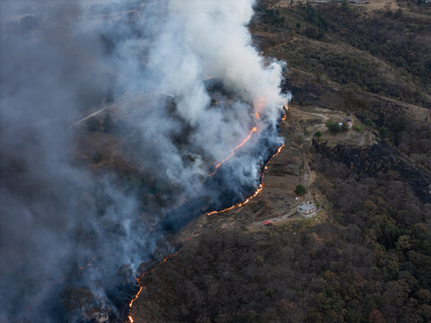 Aerial View of a Wildfire Advancing Through Forest and Near Residential Buildings