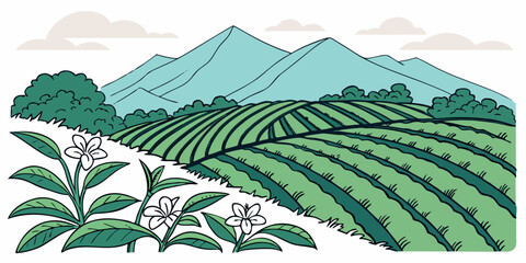 A serene landscape of rolling hills covered in lush green vegetation Vector © Md Kazi Rahman