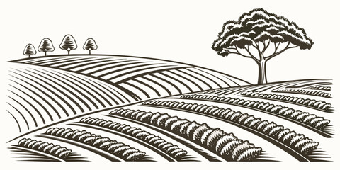 A serene landscape with a single tree standing tall amidst a vast field of crops Vector © Md Kazi Rahman