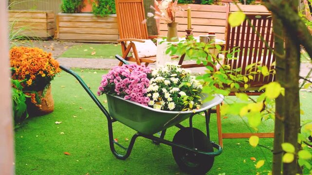Green wheelbarrow with colorful flowers on lush grass outside, rustic furniture nearby