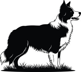 Fototapeta premium Successful young professional entrepreneur sitting at a modern wooden desk working on a laptop computer in a bright minimalist home office with natural sunlight