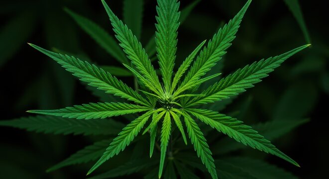 Green cannabis fan leaves forming a detailed, natural background pattern suitable for textile printing or digital wallpapers, growth, seamless, textile