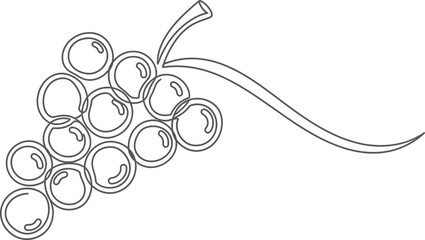 Minimalist Grapes Bunch Continuous Line Art Vector Illustration Isolated