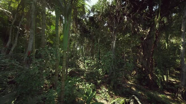 sunlit tropical understory with hanging vines, field scientist conducting canopy survey, data logger equipment, humid air, dappled shadows, epiphyte clusters,