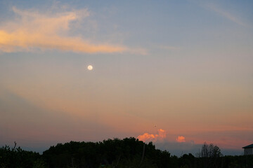 Fototapeta premium Tree silhouette on sky as twilight times. Branch on sky background.