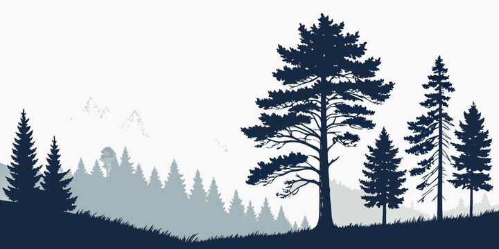 Silhouette of tall trees against a bright sky in a dense forest landscape Vector