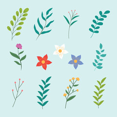 Collection of hand drawn spring floral elements