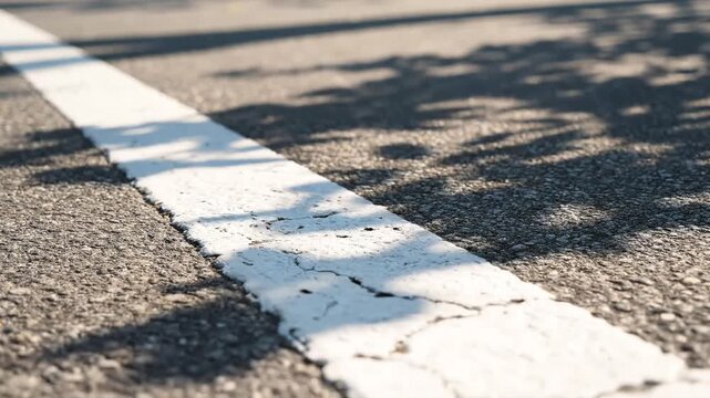Closeup of a white road line with tree shadows on asphalt.