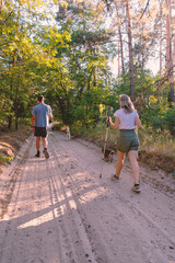 Obraz premium Couple Nordic Walking with Dogs on a Sunny Sandy Forest Trail During Golden Hour